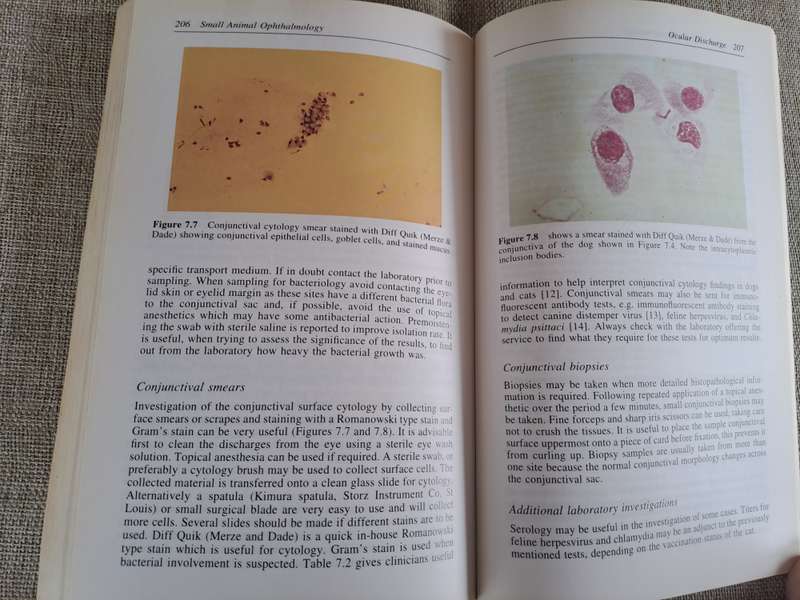 Small Animal Ophthalmology: A Problem Oriented Approach 2nd Edition