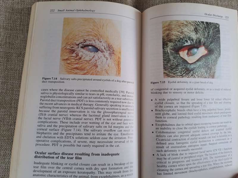 Small Animal Ophthalmology: A Problem Oriented Approach 2nd Edition