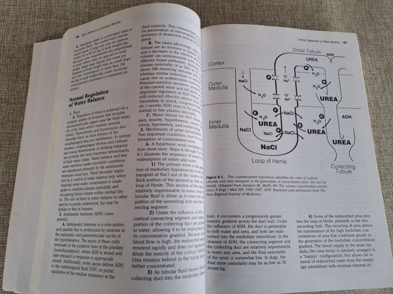 Quick Reference Guide to Veterinary Medicine  2nd Edition