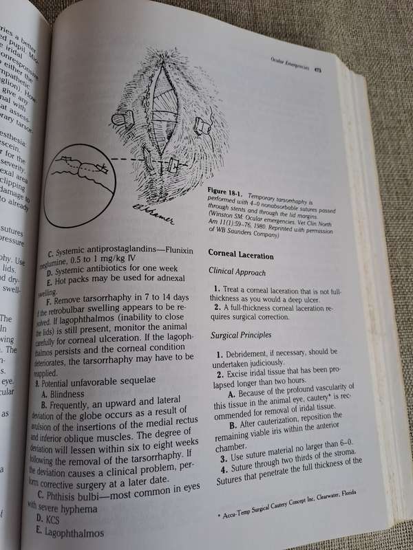 Quick Reference Guide to Veterinary Medicine  2nd Edition