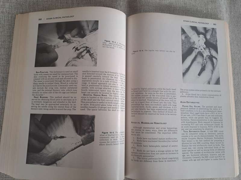 Veterinary Clinical Pathology 4th Edition.