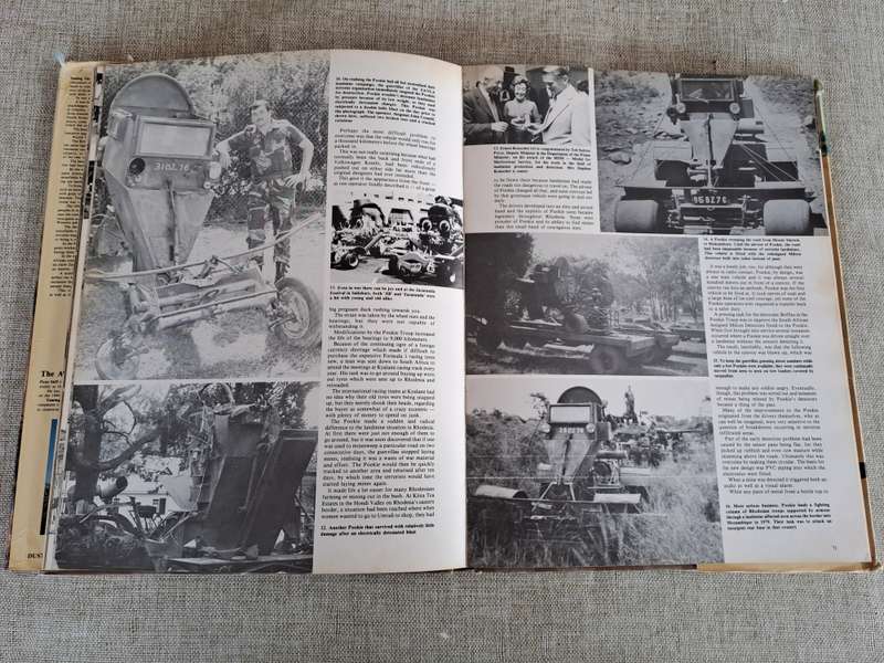 Taming the Landmine - Peter Stiff