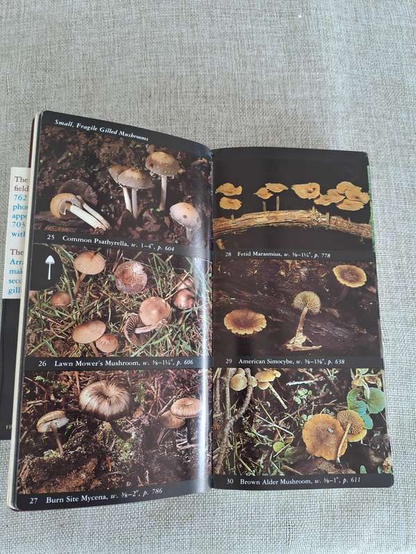The Audubon Society Field Guide to North American Mushrooms