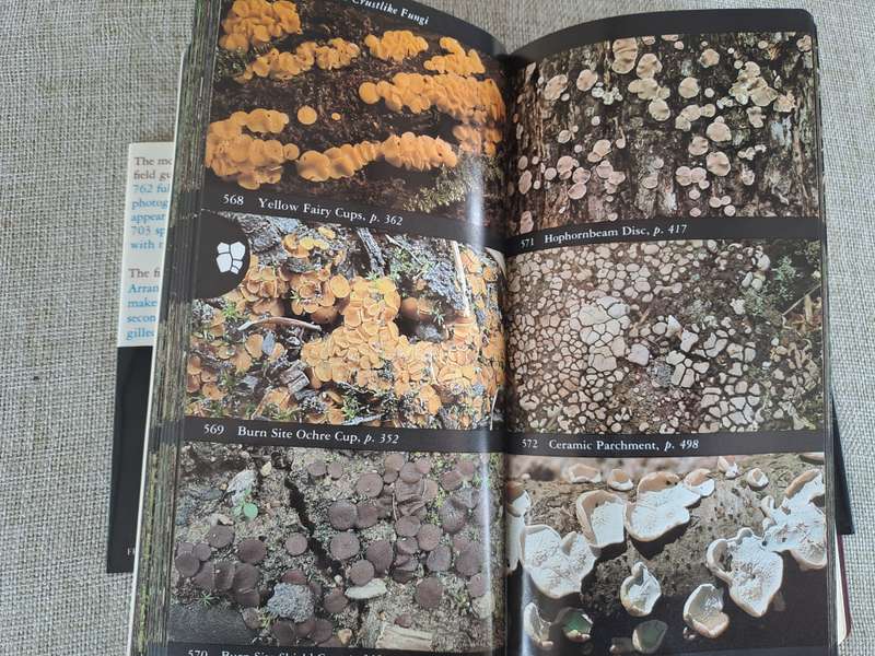 The Audubon Society Field Guide to North American Mushrooms