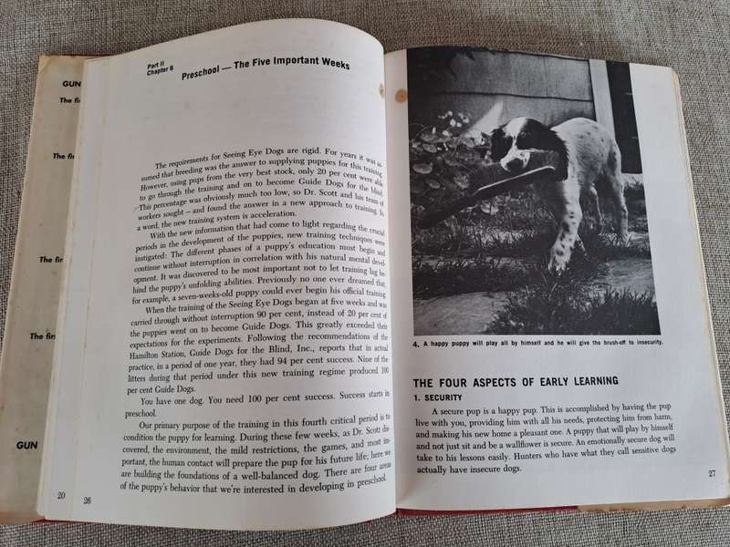 Gun Dog: Revolutionary Rapid Training Method