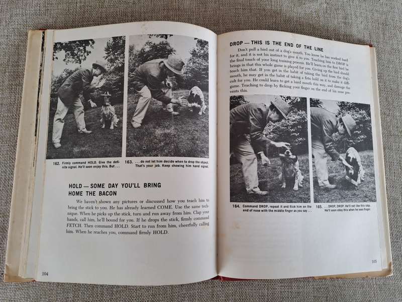 Gun Dog: Revolutionary Rapid Training Method