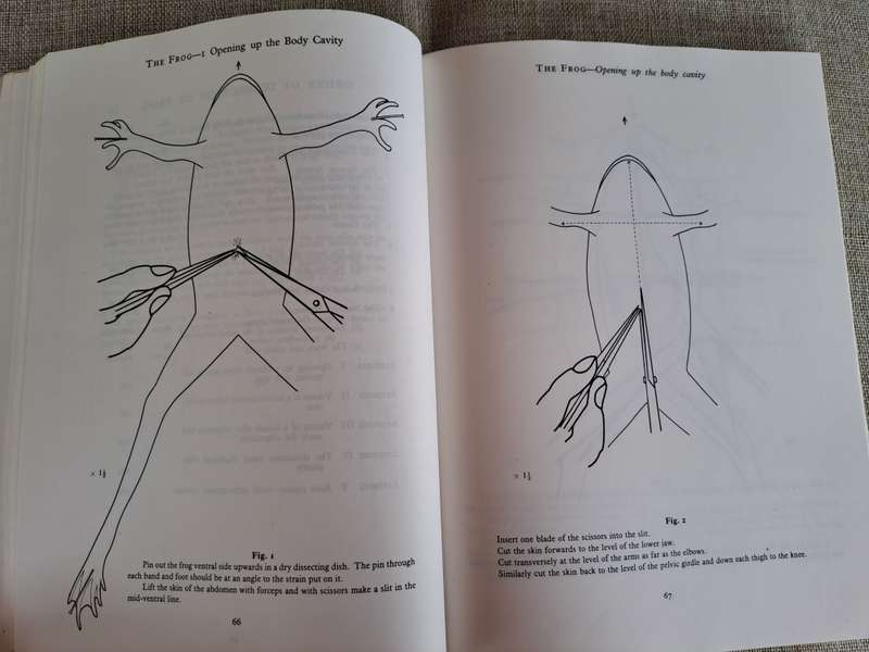 Guide to Dissection - HGQ Rowett