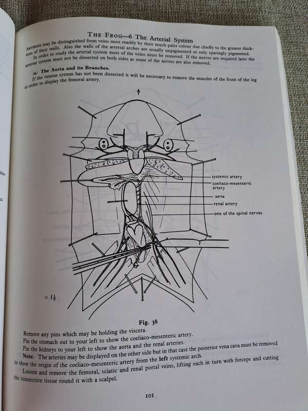 Guide to Dissection - HGQ Rowett