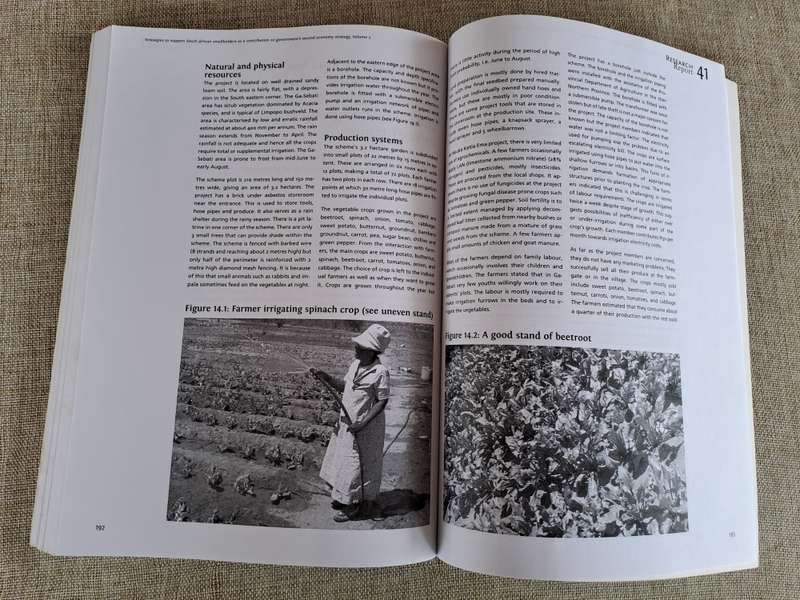 Research Report 41: Strategies to support South African smallholders as a contribution to government