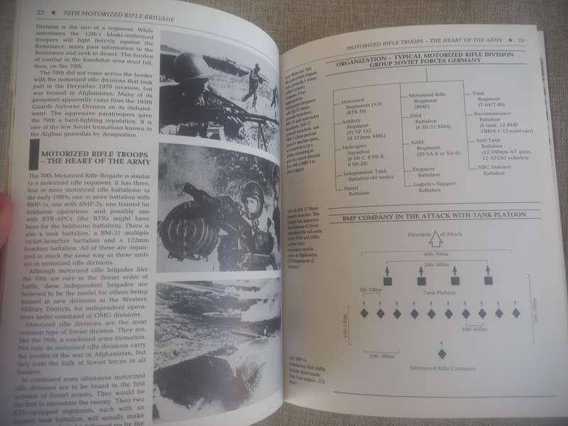 Ten Million Bayonets - Inside the Armies of the Soviet Union - David C Isby