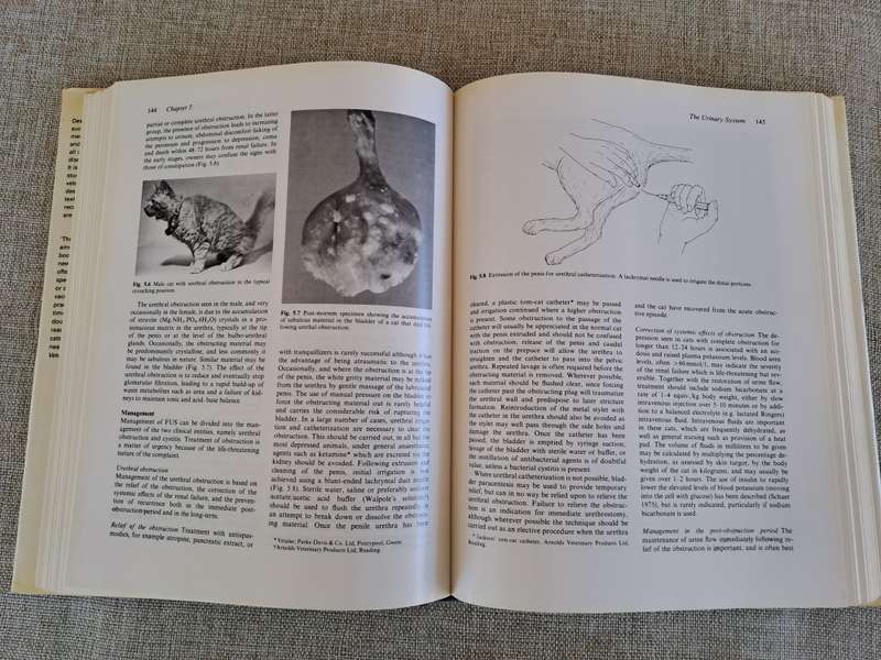 Feline Medicine and Therapeutics - Chandler, Gaskell, Hilbery (Editors)