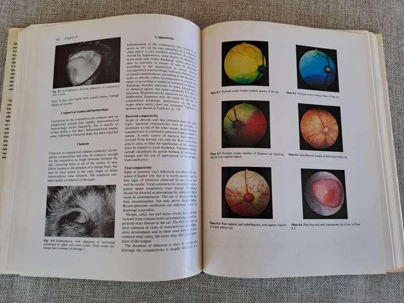 Feline Medicine and Therapeutics - Chandler, Gaskell, Hilbery (Editors)