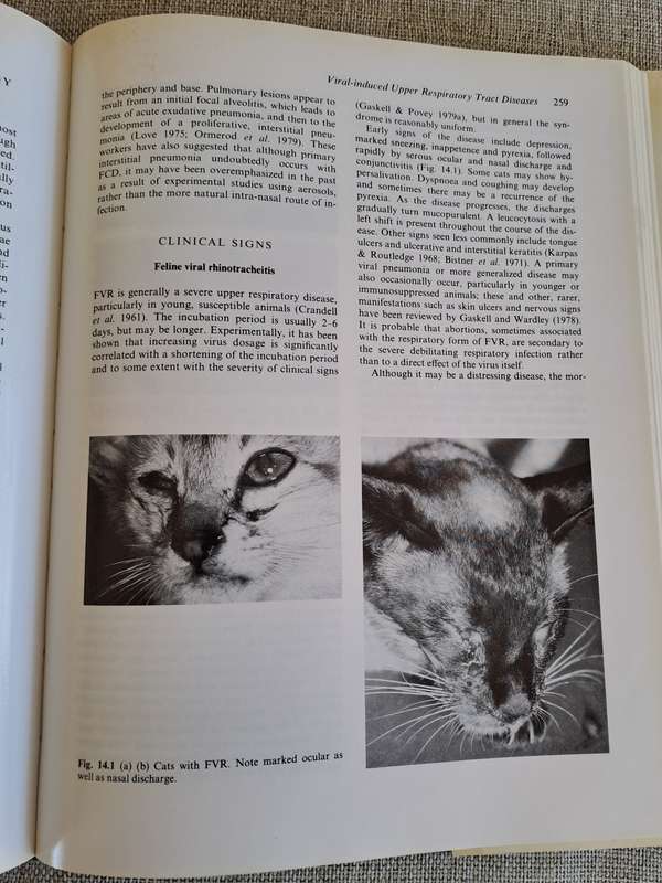 Feline Medicine and Therapeutics - Chandler, Gaskell, Hilbery (Editors)