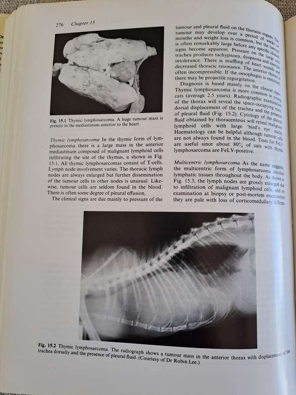Feline Medicine and Therapeutics - Chandler, Gaskell, Hilbery (Editors)