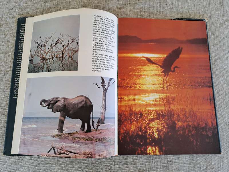 Zimbabwe Portrait - Dick Pitman
