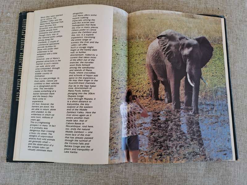 Zimbabwe Portrait - Dick Pitman