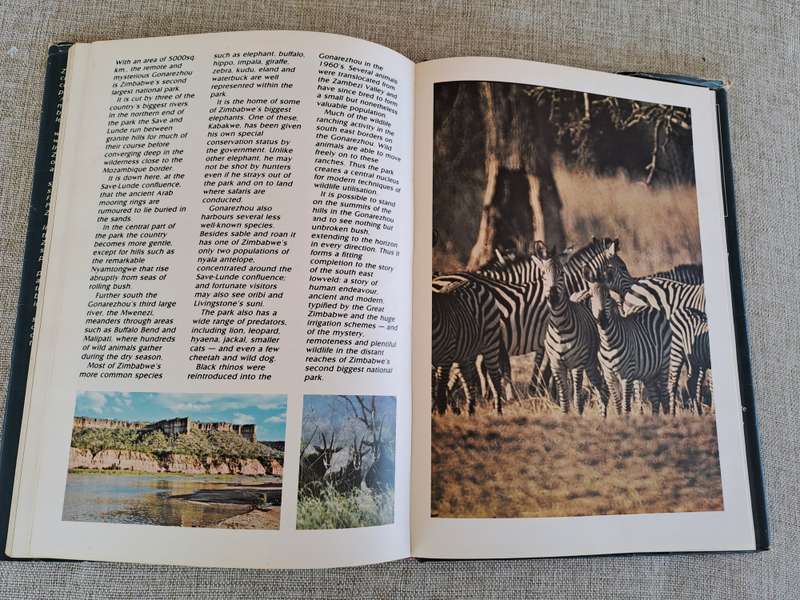 Zimbabwe Portrait - Dick Pitman