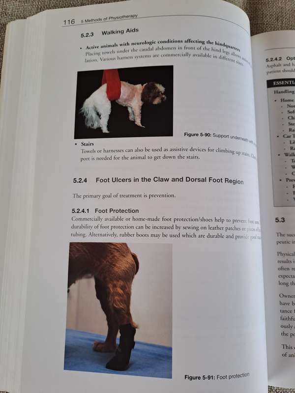 Essential Facts of Physiotherapy in Dogs and Cats: Rehabilitation and Pain Management (DVD included)