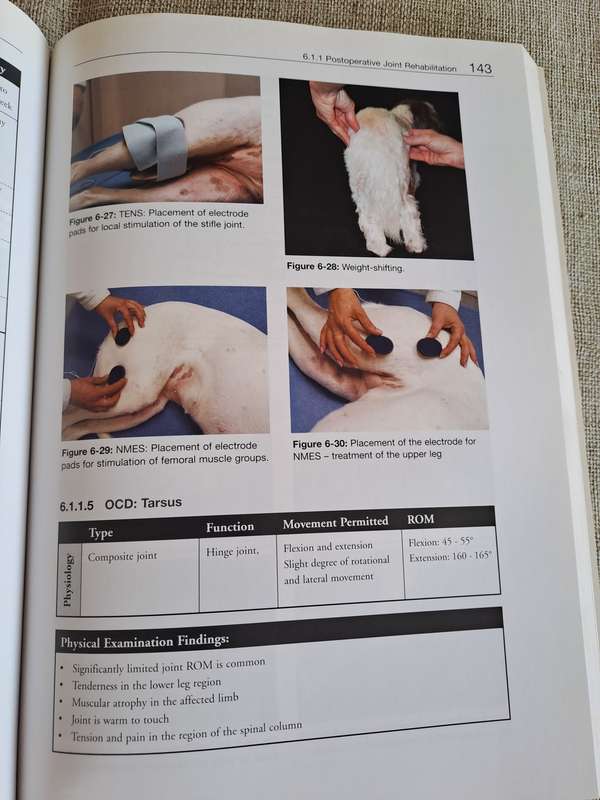 Essential Facts of Physiotherapy in Dogs and Cats: Rehabilitation and Pain Management (DVD included)