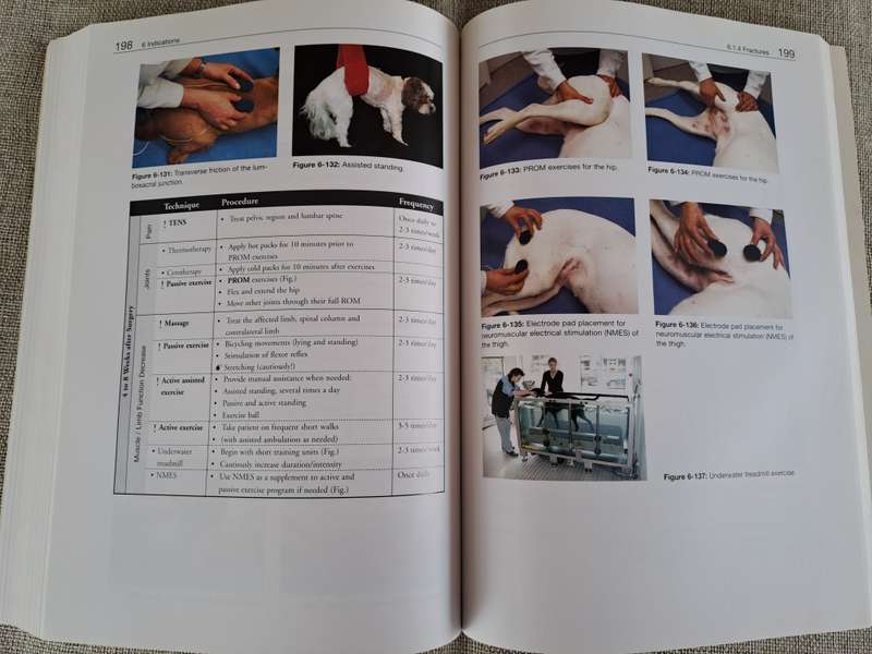 Essential Facts of Physiotherapy in Dogs and Cats: Rehabilitation and Pain Management (DVD included)