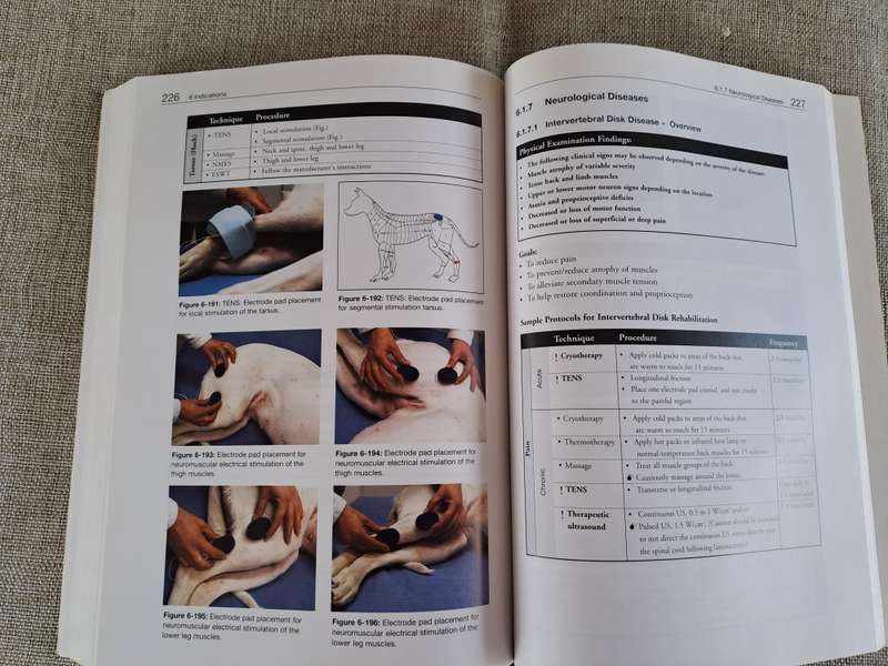 Essential Facts of Physiotherapy in Dogs and Cats: Rehabilitation and Pain Management (DVD included)