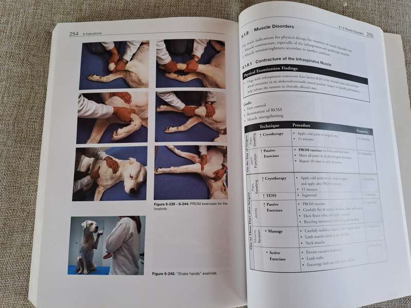 Essential Facts of Physiotherapy in Dogs and Cats: Rehabilitation and Pain Management (DVD included)