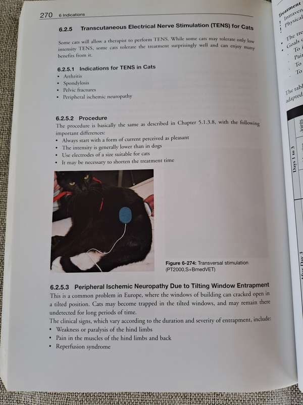 Essential Facts of Physiotherapy in Dogs and Cats: Rehabilitation and Pain Management (DVD included)