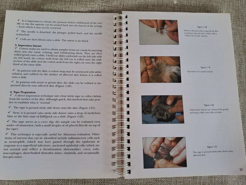 Manual for the Small Animal Practice: Dermatology Made Easy - R.S. Mueller