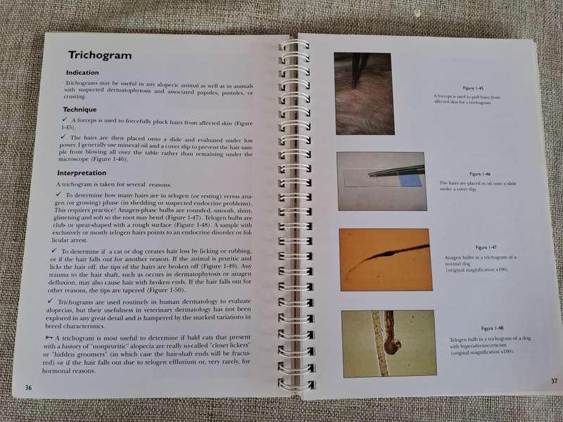 Manual for the Small Animal Practice: Dermatology Made Easy - R.S. Mueller