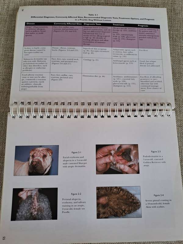 Manual for the Small Animal Practice: Dermatology Made Easy - R.S. Mueller