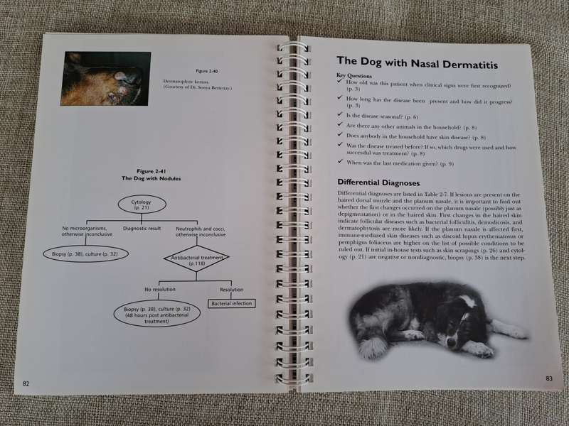 Manual for the Small Animal Practice: Dermatology Made Easy - R.S. Mueller