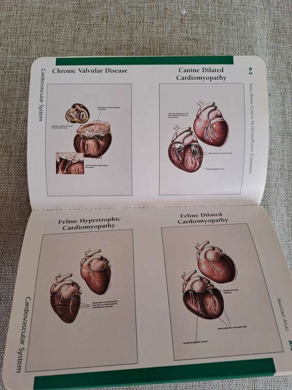 Pocket Companion to Small Animal Clinical Nutrition 4th Edition -  Bruce J. Novotny, Michael S. Hand