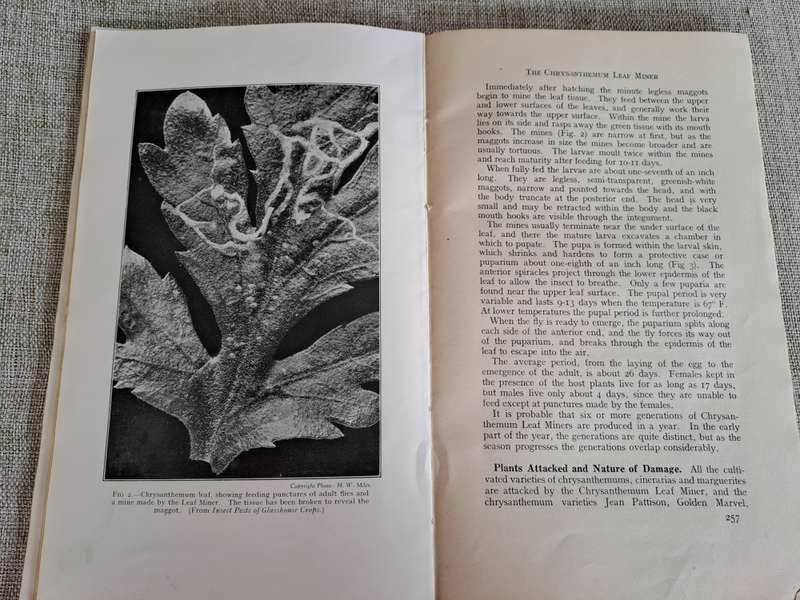 The Journal of the Ministry of Agriculture  set of 4 volumes