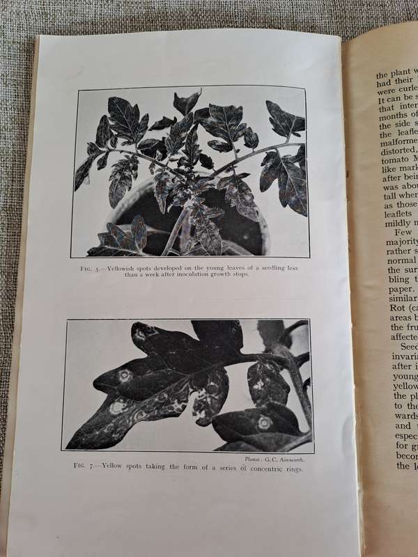 The Journal of the Ministry of Agriculture  set of 4 volumes