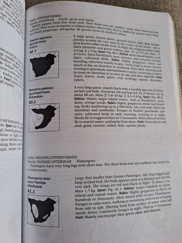 A Field Guide to the Animal Tracks of Southern Africa - Louis Liebenberg