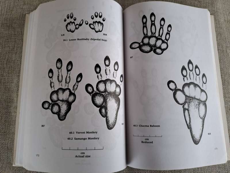 A Field Guide to the Animal Tracks of Southern Africa - Louis Liebenberg