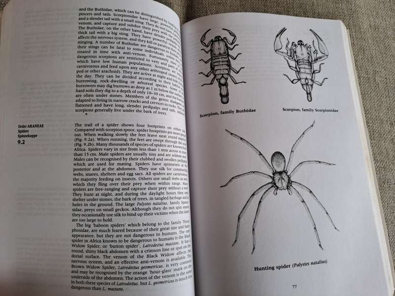 A Field Guide to the Animal Tracks of Southern Africa - Louis Liebenberg