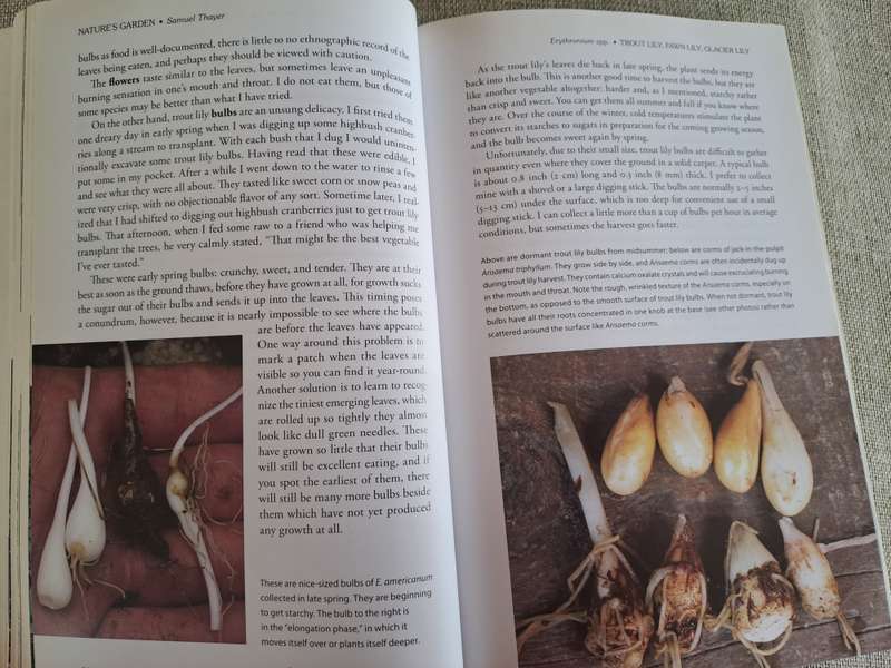 Natures Garden: A Guide to Identifying, Harvesting, and Preparing Edible Wild Plants