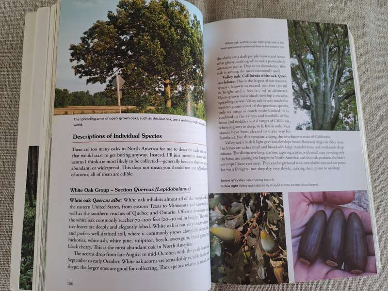 Natures Garden: A Guide to Identifying, Harvesting, and Preparing Edible Wild Plants