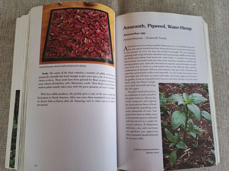 Natures Garden: A Guide to Identifying, Harvesting, and Preparing Edible Wild Plants
