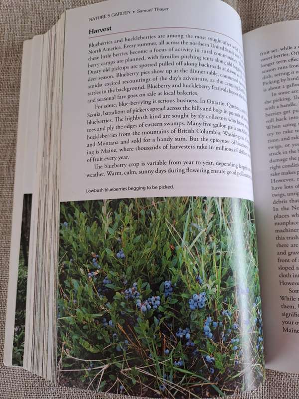 Natures Garden: A Guide to Identifying, Harvesting, and Preparing Edible Wild Plants