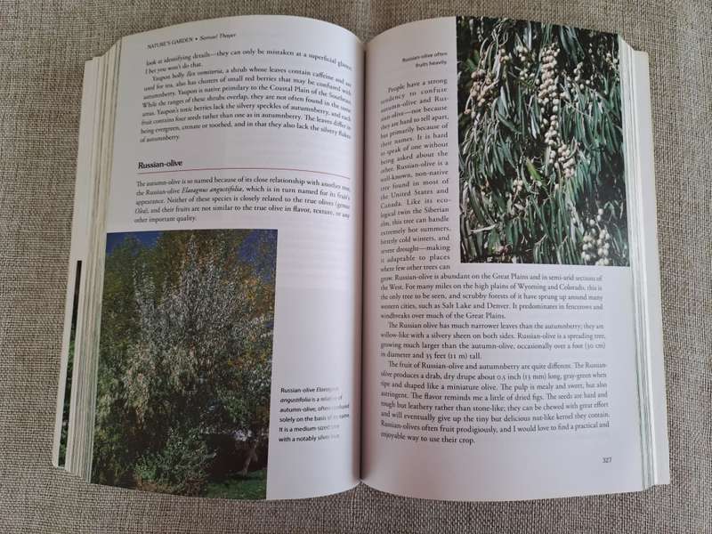 Natures Garden: A Guide to Identifying, Harvesting, and Preparing Edible Wild Plants