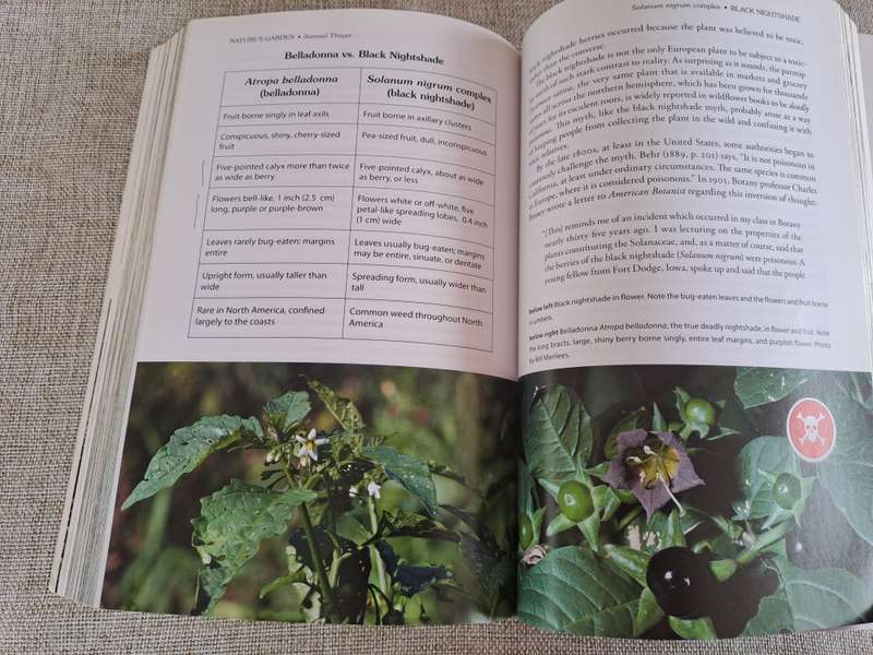 Natures Garden: A Guide to Identifying, Harvesting, and Preparing Edible Wild Plants