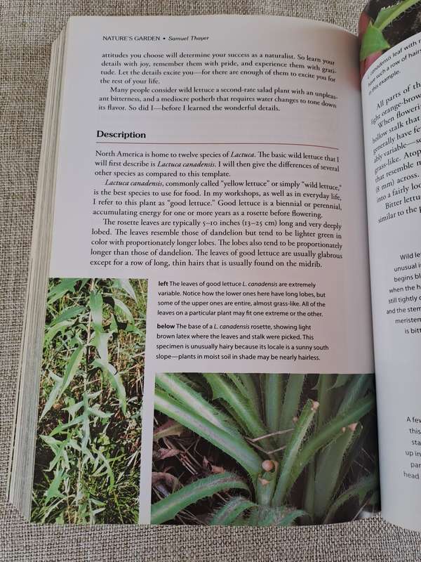 Natures Garden: A Guide to Identifying, Harvesting, and Preparing Edible Wild Plants