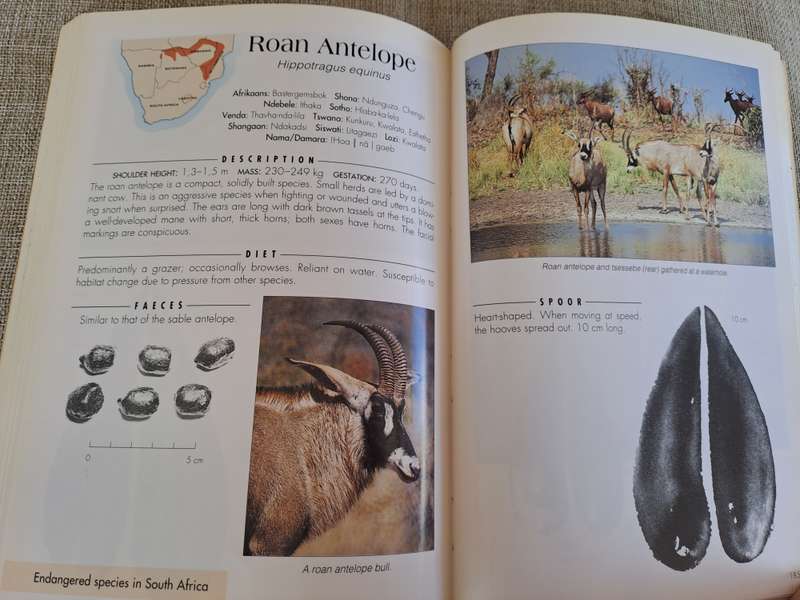 Signs of the Wild 5th Edition - Clive Walker