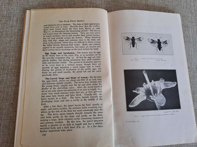 The Journal of the Ministry of Agriculture 1935  set of 5 volumes