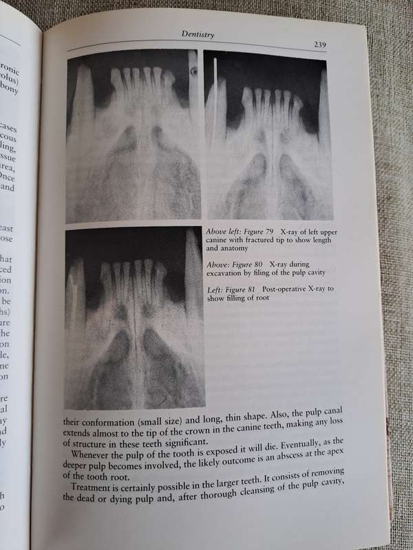 Veterinary Notes for Cat Owners - Trevor & Jean Turner
