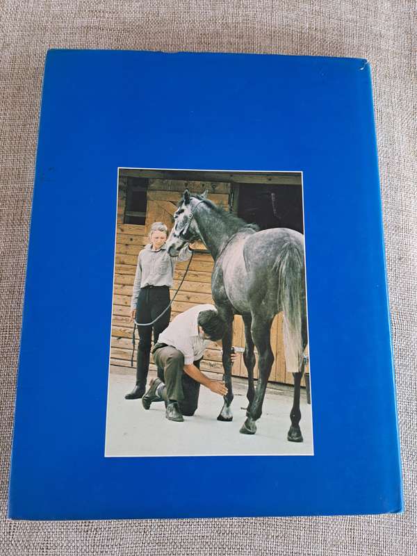 Horse Ailments and Health Care