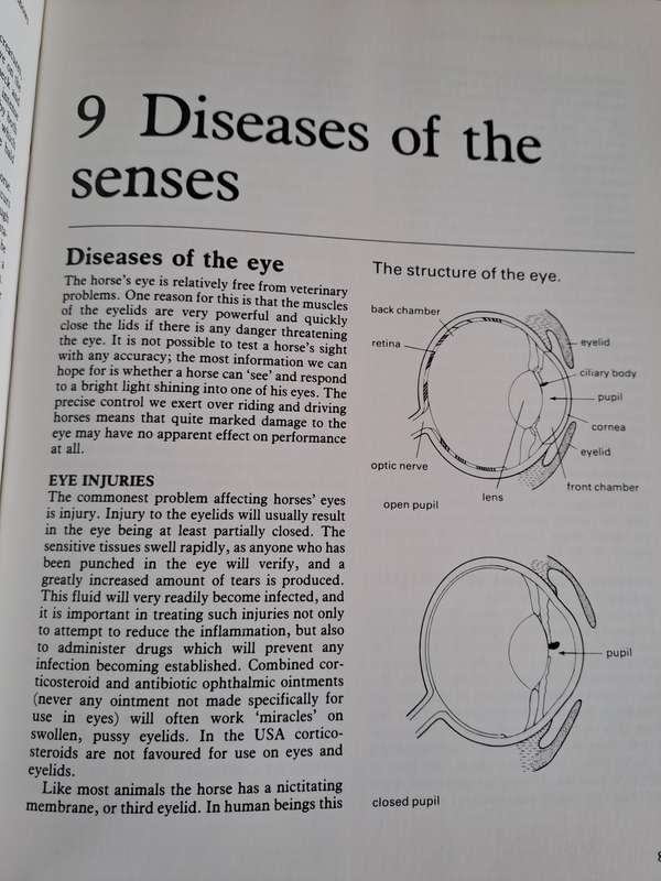 Horse Ailments and Health Care
