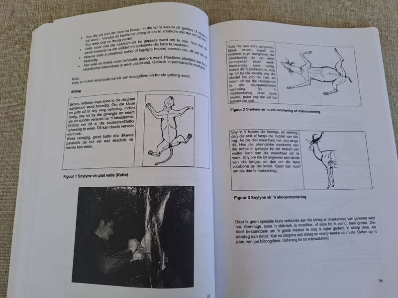 CHASA Senior Jagter Handleiding / CHASA Senior Hunters Manual